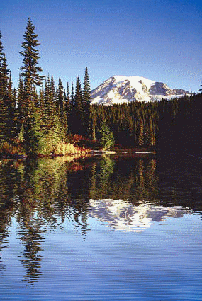 Mountain Stream reflecting lake pool